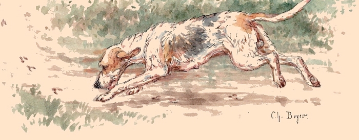 Illustration tirée de l'ouvrage Les Chiens courants français pour la chasse du lièvre (1866) - E. de Vézins - Forestié (Montauban) (13)